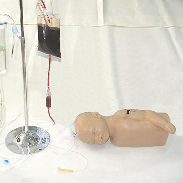 <b>高级婴儿头部及手臂静脉注射训练模型</b>