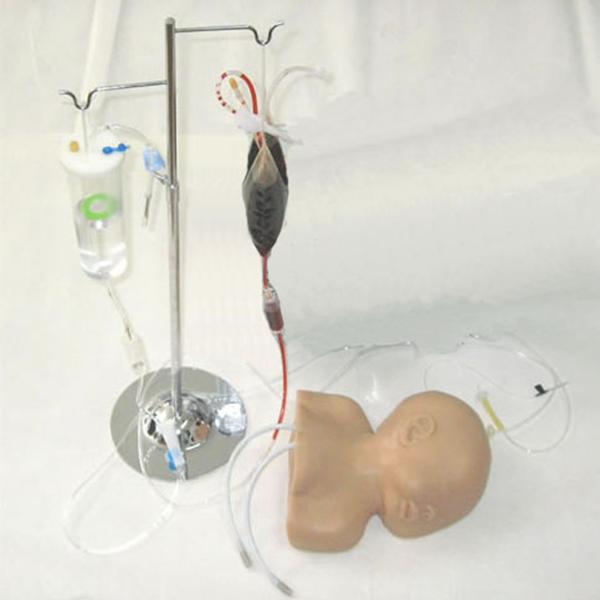 高级硅胶婴儿头部静脉穿刺训练示教模型