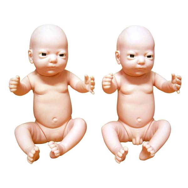 <b>高级出生婴儿模型(男婴、女婴任选)</b>
